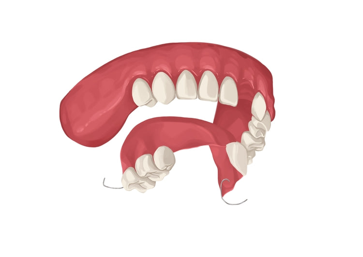 Flipper Tooth