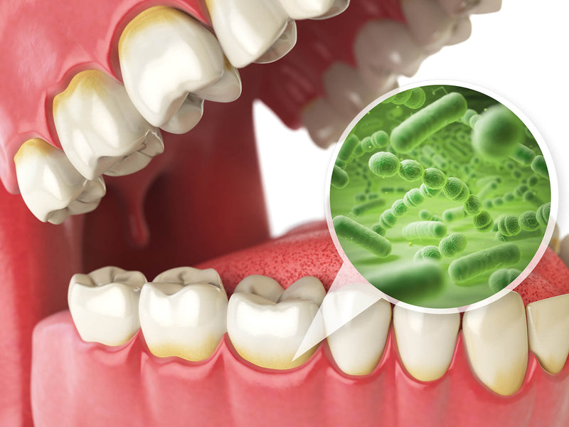 Quanto Tempo Demora Até uma Infeção Dentária Matar?