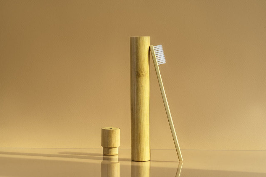 Melhor escova de dentes para viagem - Precisa de uma? Como transportar uma escova de dentes sónica
